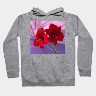 Red Amaryllis Flowers Hoodie